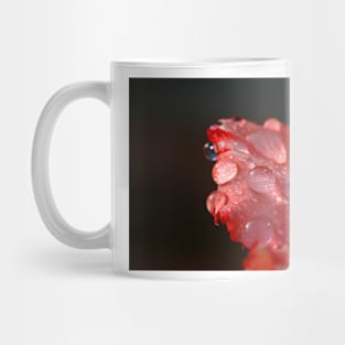 Drops Mug